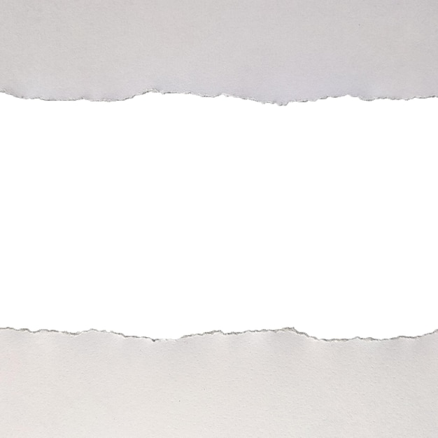 Imagen png de papel realista
