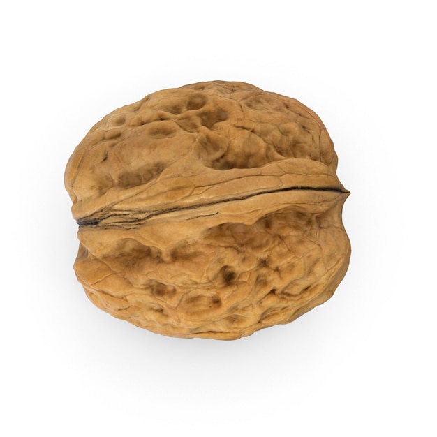Imagen premium de nueces en varias formas que hacen hincapié en los detalles y la textura