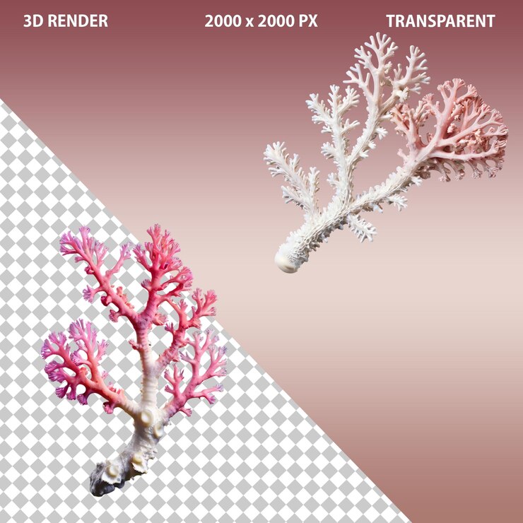 PSD imagen realista aislada en 3d de coral en transparente