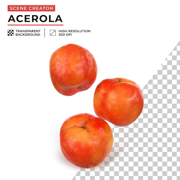 PSD imagen renderizada de la fruta de acerola roja para la creación de paisajes