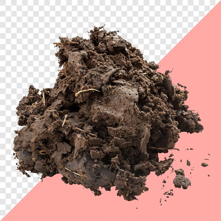 PSD una imagen de un trozo de tierra y un pedazo de papel con una imagen de una vaca