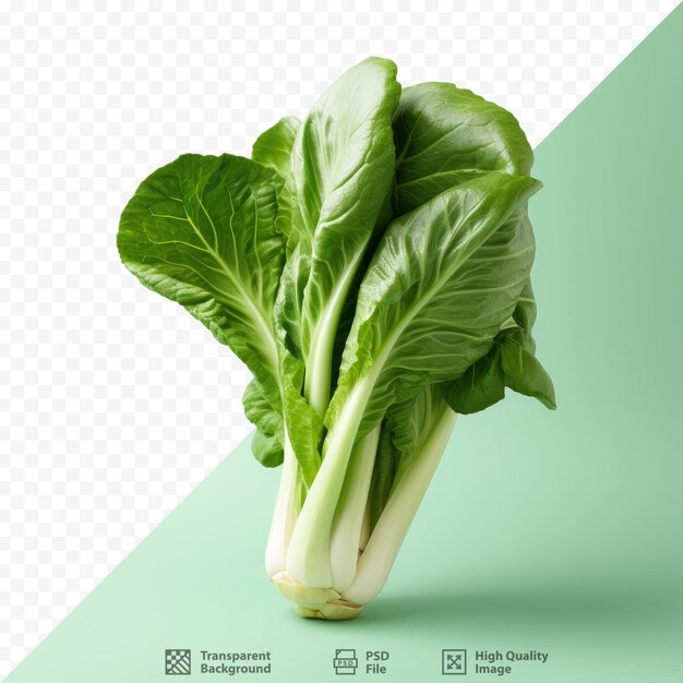 PSD una imagen de una verdura que dice 