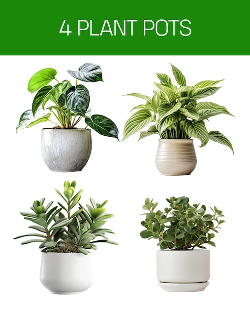 Imagens de vasos de plantas para adereços de interiores