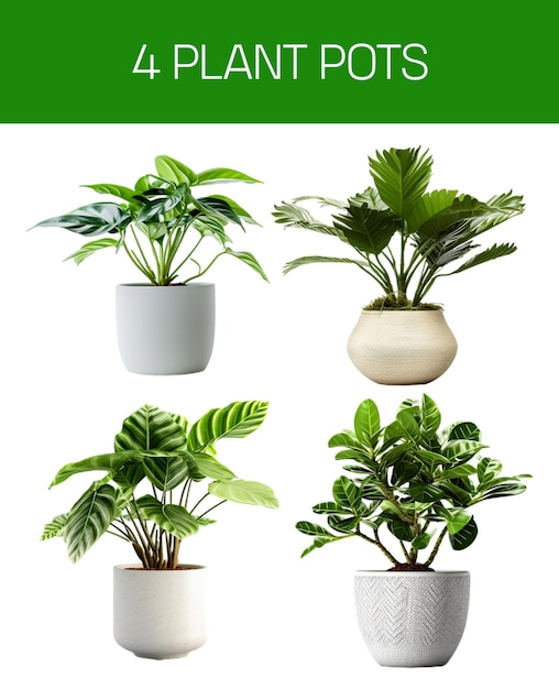 PSD imagens de vasos de plantas para adereços de interiores
