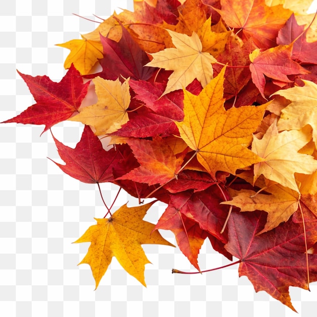 Immagine ad alta risoluzione di un mucchio di foglie d'autunno con sfondo trasparente