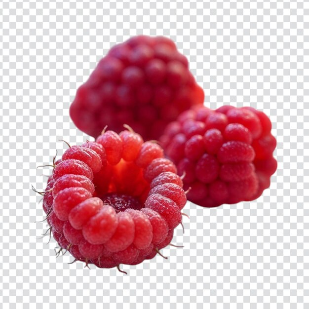Immagine di lampone isolata con sfondo trasparente
