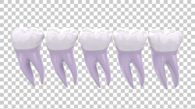 Implantat-Zahn isoliert auf durchsichtigem Hintergrund 3D-Rendering-Illustration