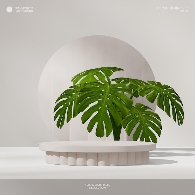 in der quadratischen Monstera-Anlage, die einen 3D-transparenten Hintergrund eines beigefarbenen Zylinders auf dem Podium darstellt