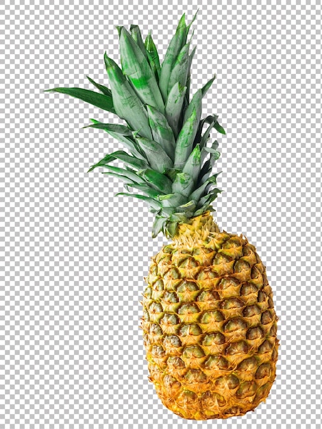 Incroyable Photo D'ananas En Png