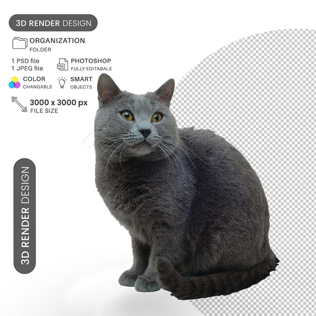 Indoor Black Puffy Cat PSD