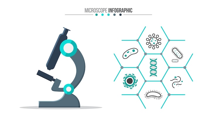 PSD infografica microscopio modello medico e sanitario per la presentazione con 7 passaggi