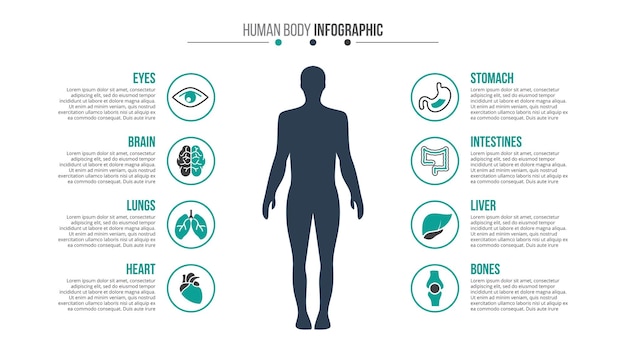 PSD infográfico de corpo humano modelo médico e de saúde para apresentação com 8 etapas