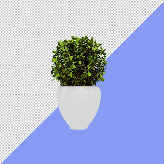 Innenanlage 3d