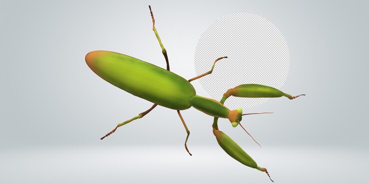 PSD un insecte vert avec une queue rouge est affiché dans le coin supérieur gauche.