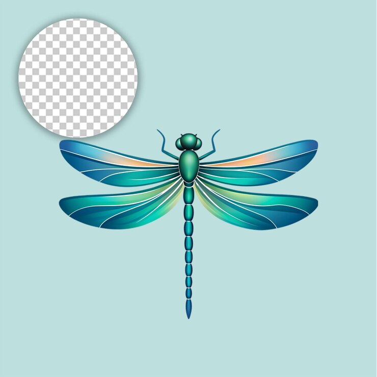 PSD insecto libélula plano sobre un fondo transparente