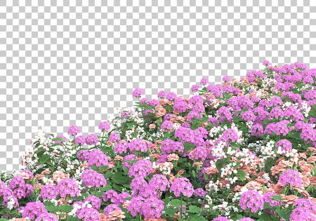 Insel der Blumen auf transparentem Hintergrund 3D-Darstellung