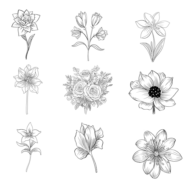 Insieme di elementi decorativi floreali disegnati a mano