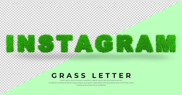 Instagram brief in 3d gras isoliert