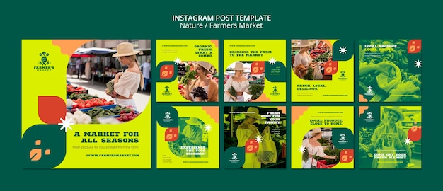 Instagram-Posts-Sammlung für frische und biologische Farmer-Marker-Lebensmittel