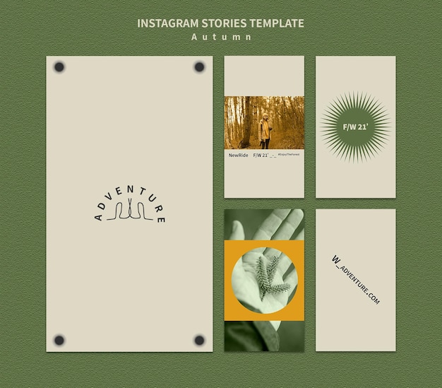 Instagram stories collection für herbstabenteuer im wald