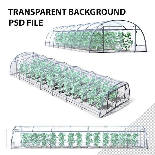 Invernadero con plantas png