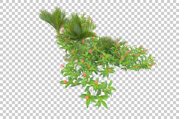 Isla de follaje aislada sobre fondo blanco ilustración de representación 3d