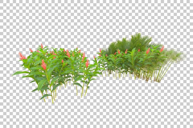 Isla de follaje aislada sobre fondo blanco ilustración de representación 3d