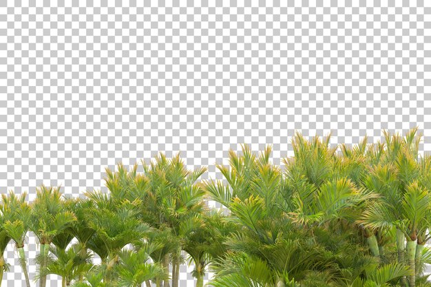 Isla de follaje aislada sobre fondo blanco ilustración de representación 3d