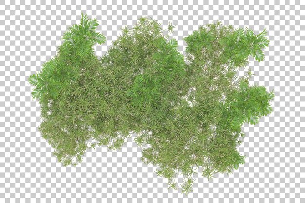 Isla de follaje aislada sobre fondo blanco ilustración de representación 3d