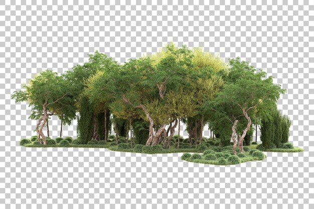 Isla de follaje aislada sobre fondo transparente ilustración de representación 3d