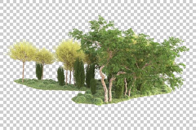 Isla de follaje aislada sobre fondo transparente ilustración de representación 3d