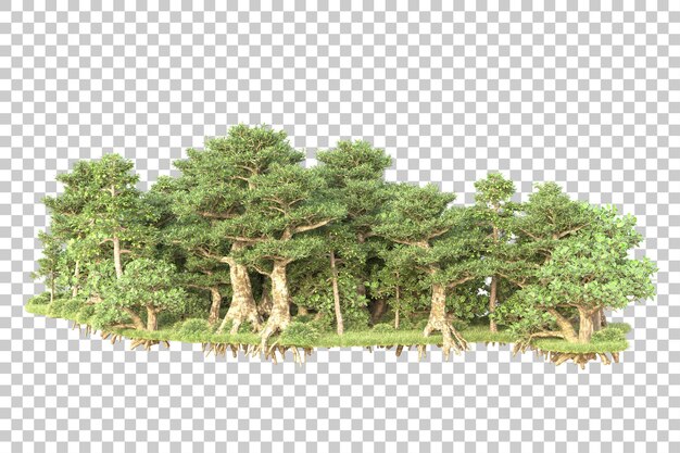 Isla de follaje aislada sobre fondo transparente ilustración de representación 3d