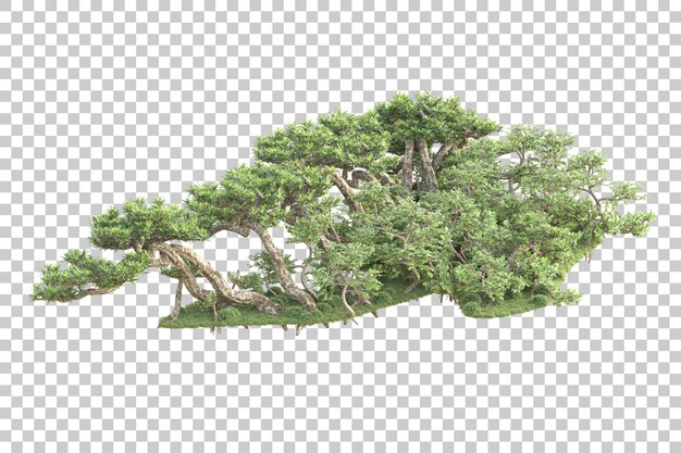 Isla de follaje aislada sobre fondo transparente ilustración de representación 3d
