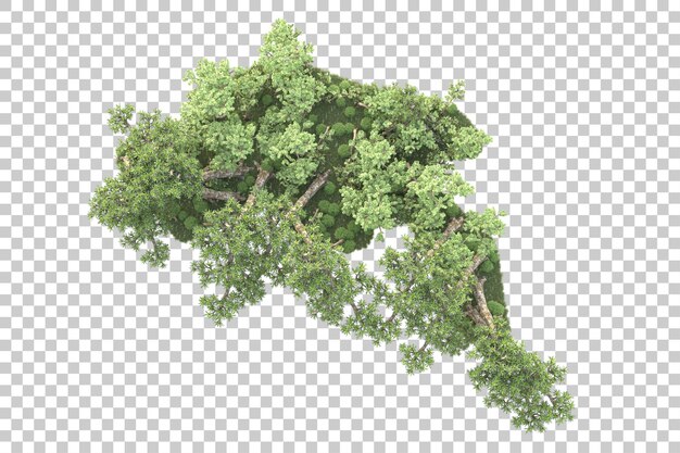 Isla de follaje aislada sobre fondo transparente ilustración de representación 3d