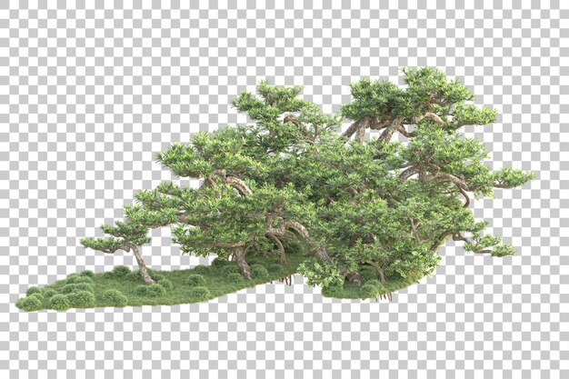 Isla de follaje aislada sobre fondo transparente ilustración de representación 3d