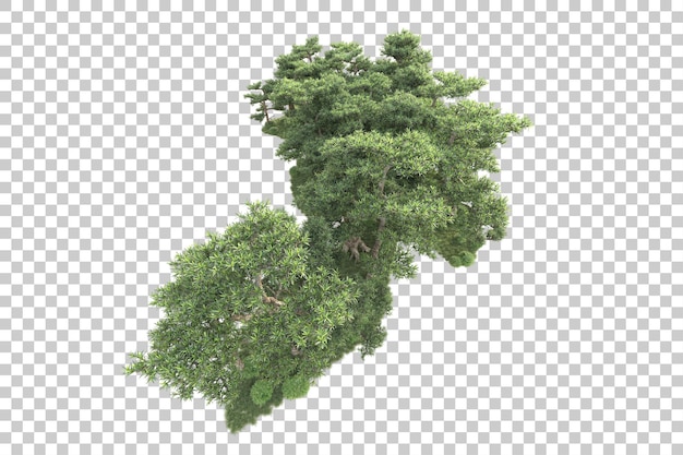 Isla de follaje aislada sobre fondo transparente ilustración de representación 3d