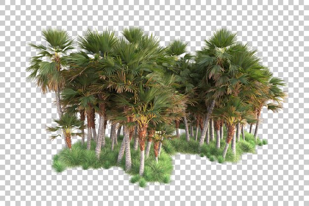 Isla de follaje aislada sobre fondo transparente ilustración de representación 3d