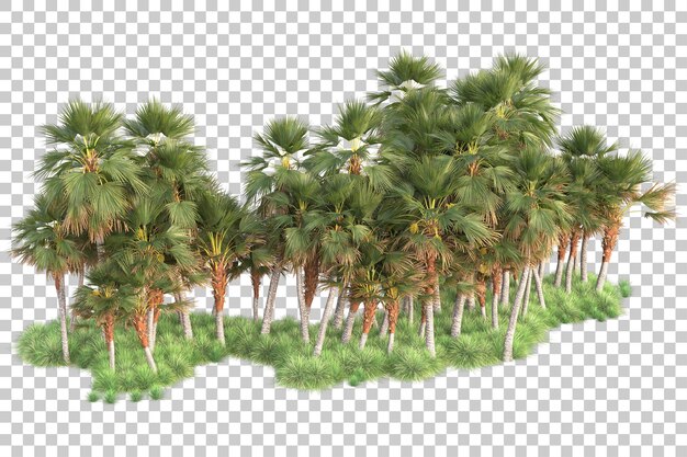 Isla de follaje aislada sobre fondo transparente ilustración de representación 3d