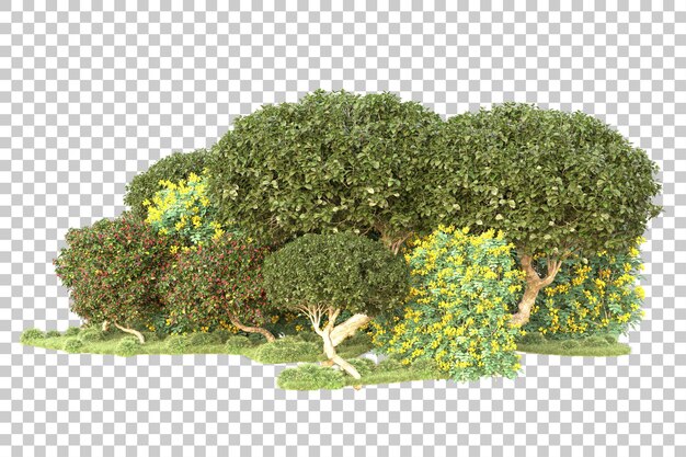 Isla de follaje aislada sobre fondo transparente ilustración de representación 3d