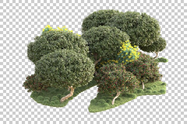 Isla de follaje aislada sobre fondo transparente ilustración de representación 3d