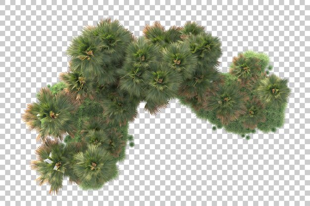 Isla de follaje aislada sobre fondo transparente ilustración de representación 3d