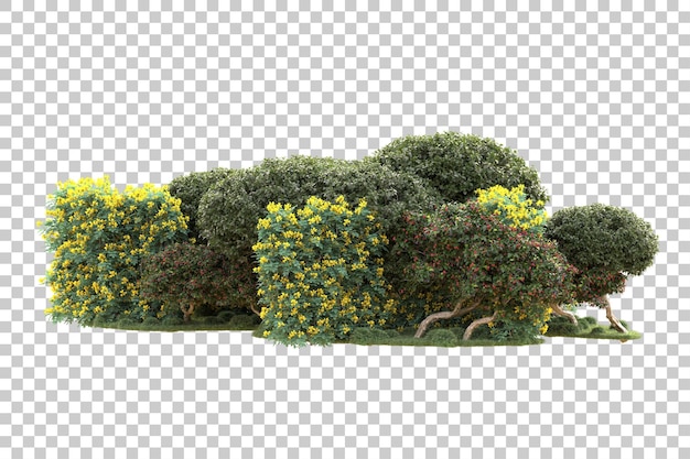 Isla de follaje aislada sobre fondo transparente ilustración de representación 3d