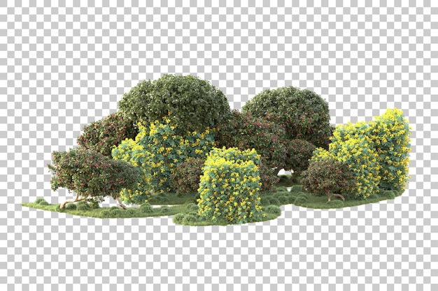 Isla de follaje aislada sobre fondo transparente ilustración de representación 3d