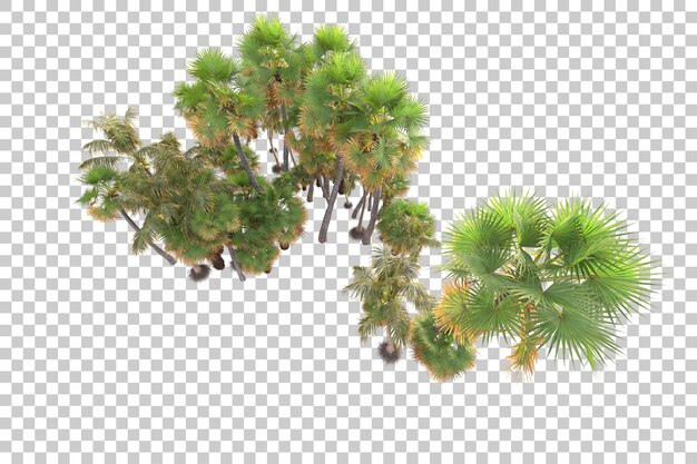 Isla de follaje aislada sobre fondo transparente ilustración de representación 3d