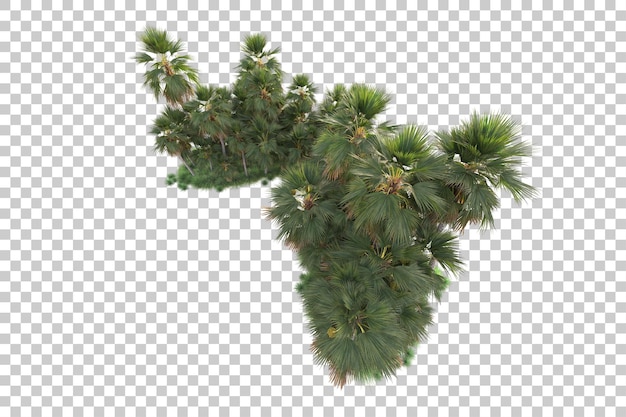 Isla de follaje aislada sobre fondo transparente ilustración de representación 3d