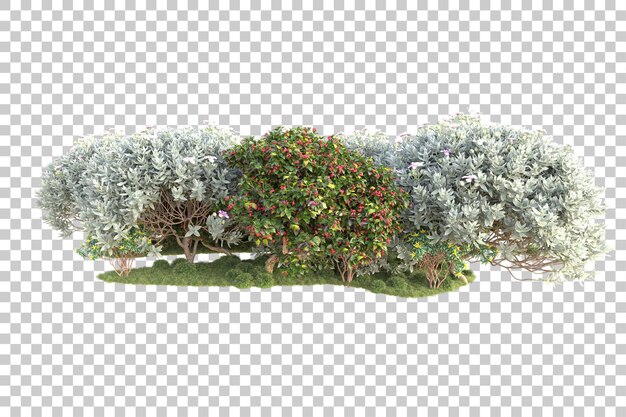 Isla de follaje aislada sobre fondo transparente ilustración de representación 3d