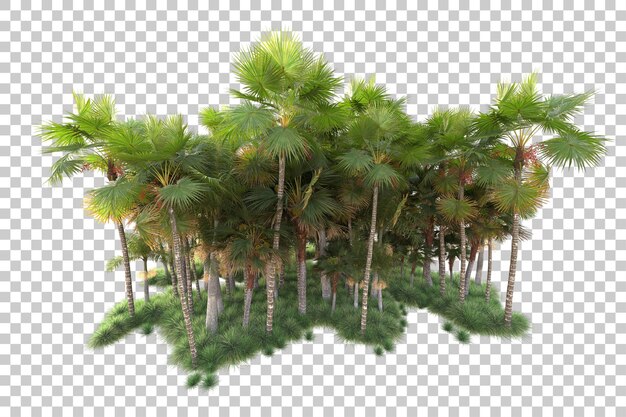 Isla de follaje aislada sobre fondo transparente ilustración de representación 3d