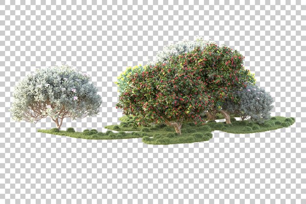 Isla de follaje aislada sobre fondo transparente ilustración de representación 3d