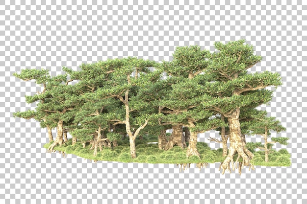 Isla de follaje aislada sobre fondo transparente ilustración de representación 3d