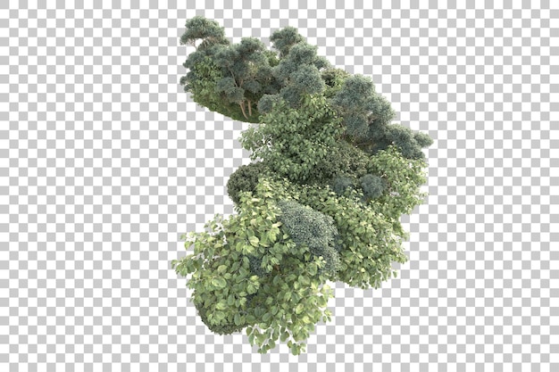 Isla de follaje aislada sobre fondo transparente ilustración de representación 3d